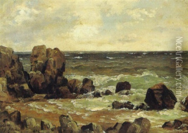 Fra Kullen Oil Painting - Peter (Johann P.) Raadsig