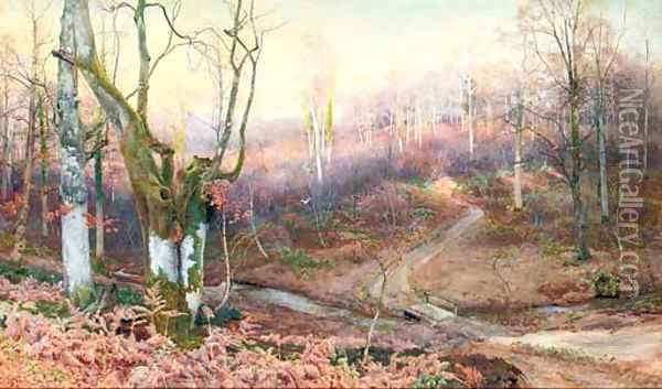 In the Heart of the Forest Oil Painting - Walter Follen Bishop