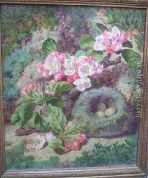 Still Life Of Apple Blossom And Birds Nest Oil Painting - Thomas Worsey