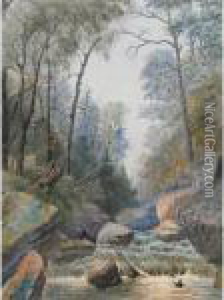 Rushing Rapids Oil Painting - Thomas Harrison Wilkinson