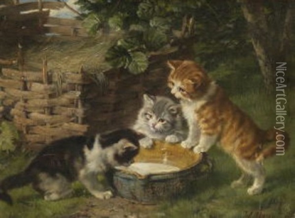 Drei Katzchen Am Milchnapf Oil Painting - Julius Adam the Younger
