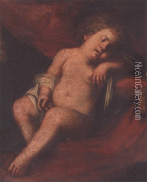 The Christ Child Sleeping Oil Painting - Domenico Piola