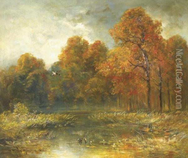 Herbstbild In Gewitterstimmung Mit Enten Am Schilfigenteich Oil Painting - C. Muller