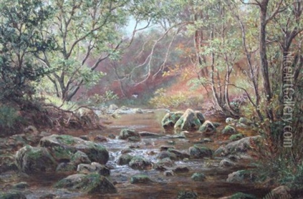 Woodland Stream Oil Painting - William Mellor