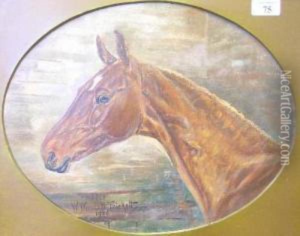 'firefly', Portrait Of A Horse Oil Painting - W. Wasdell Trickett