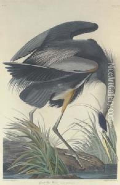 Great Blue Heron Oil Painting - Robert I Havell