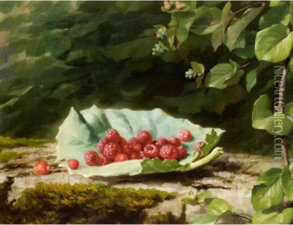 Still Life Of Rasberries Oil Painting - Fritz Zuber-Buhler