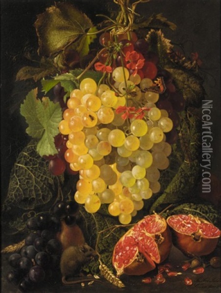 Still Life Of Fruit And A Field Mouse Oil Painting - Theude Groenland