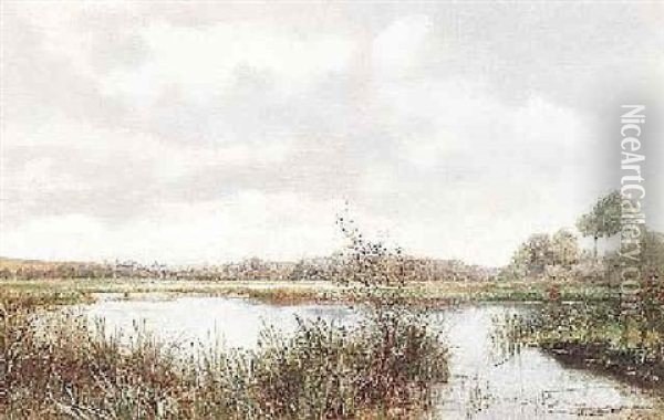 Sumpfiger See Mit Bewaldetem Ufer Unter Bewolktem Himmel Oil Painting - Raoul Maucherat de Longpre