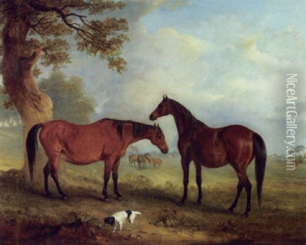 Brood Mares At Grass Oil Painting - John E. Ferneley