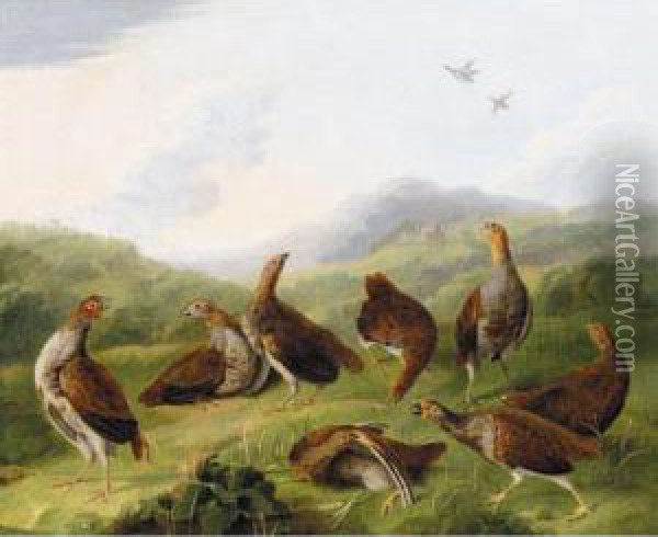 A Covey Of Partridge In A Landscape Oil Painting - George Stevens