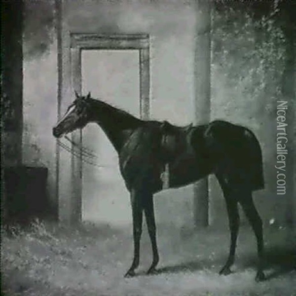 Blink Bonny, A Bay Racehorse In A Stable Oil Painting - Henry Barraud