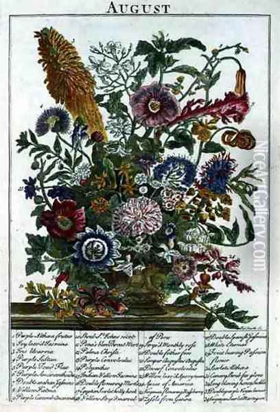 August, from 'The Flower Garden Displayed' Oil Painting - Pieter Casteels