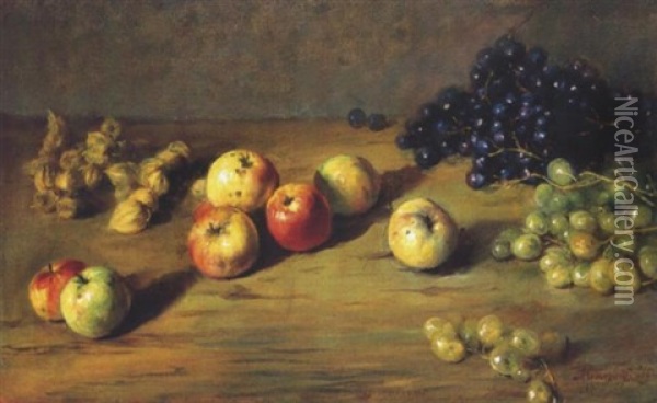 Natura Morta Con Frutta Oil Painting - Matteo Meneghini
