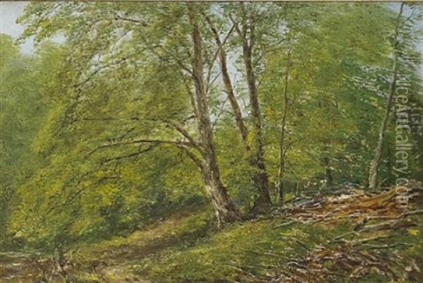 Forest Interior With A Stream (+ Wooded Landscape; Pair) Oil Painting - Lockwood de Forest