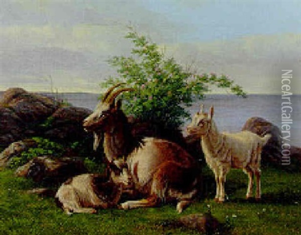 Goats On A Rocky Cliff Oil Painting - Andreas Peter Madsen