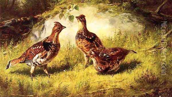 Ruffed Grouse Oil Painting - Arthur Fitzwilliam Tait