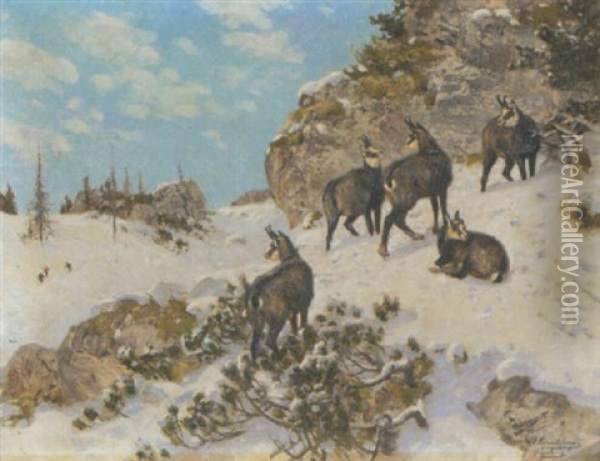 Gamsen Im Winterlichen Hochgebirge Oil Painting - Josef Schmitzberger