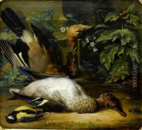A Dead Jay, Chaffinch, Teal And A Great Tit On A Forest Floor Oil Painting - Anton Friedrich Harms