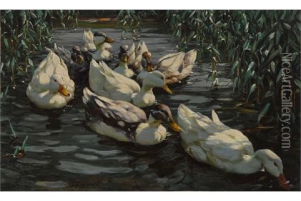 Acht Enten Im Schilfteich Oil Painting - Alexander Max Koester