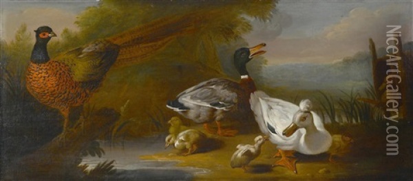 A Landscape With Wild Fowl Oil Painting - Pieter Casteels III