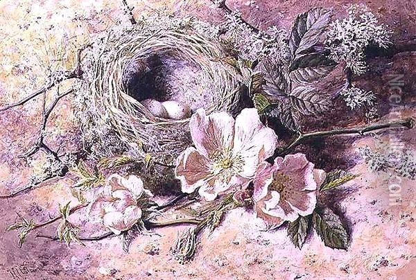 Blossom and Bird's Nest Oil Painting - Helen Cordelia Coleman Angell