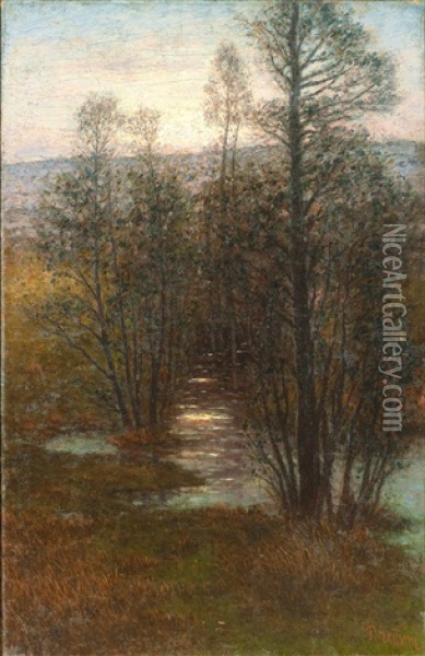 Olandskt Landskap I Solnedgang Oil Painting - Per Ekstroem