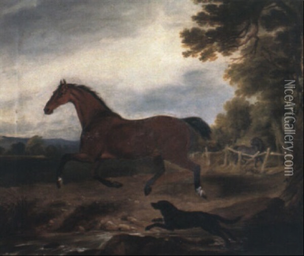 A Bay Stallion With A Spaniel In A Landscape Oil Painting - William Brocas