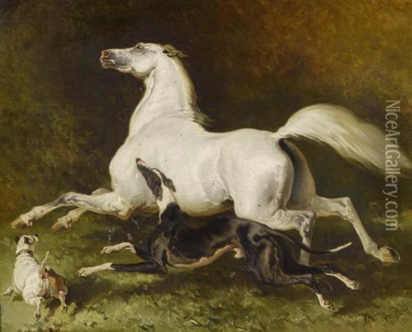 White Horse Galloping With Two Dogs Oil Painting - Alfred De Dreux
