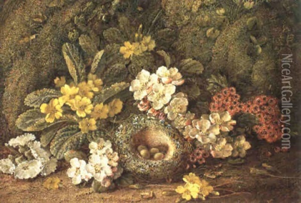 Still Life Of Primroses And Other Flowers With A Bird's     Nest Oil Painting - Vincent Clare