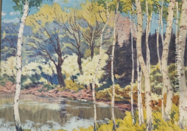 Birches By The Water Oil Painting - Iaro Prochazka