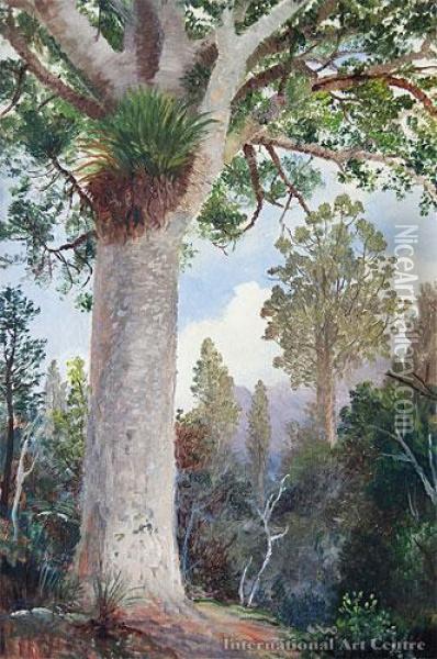 Kauri Bush Oil Painting - Charles Blomfield