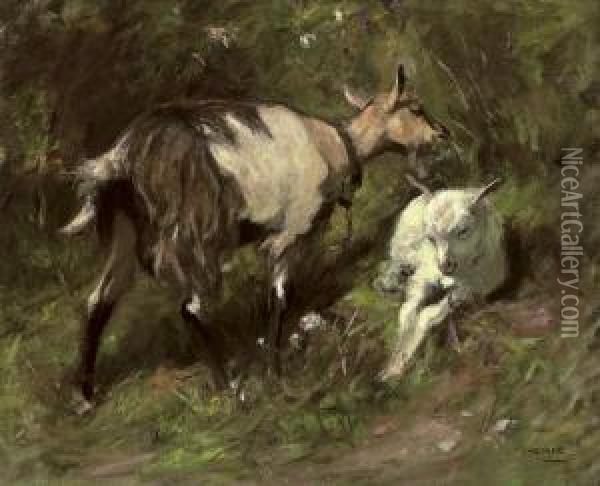 A Goat With Her Kid Oil Painting - James Riddel