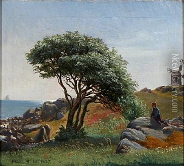 Danish Summer Landscape With A Boy Who Enjoys The View Of The Ocean Sitting On A Cliff Oil Painting - Frederik Christian Lund