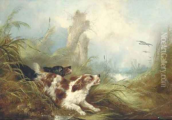 Spaniels flushing out mallards Oil Painting - George Armfield