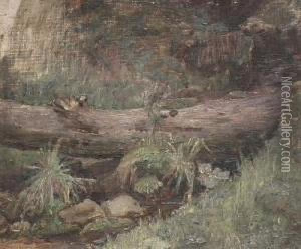 Study Of A Tree Trunk By Astream Oil Painting - John William Waterhouse
