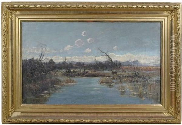 Moorlandschaft Im Vorgebirge Oil Painting - Eugen Traugott Friedrich Lemppenau