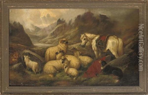 Guarding The Flock In A Highland Landscape Oil Painting - John Barker