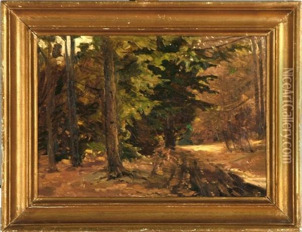 Two Danish Landscapes Oil Painting - Armand Both