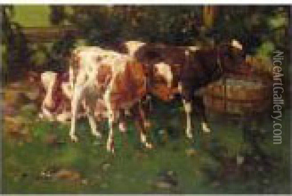 Calves Oil Painting - David Gauld
