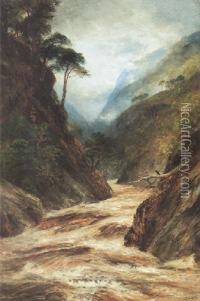 Glen Affrica, A Highland Ravine Oil Painting - John MacWhirter