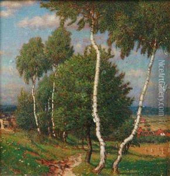 A Landscape With Birches Oil Painting - Jan Honsa