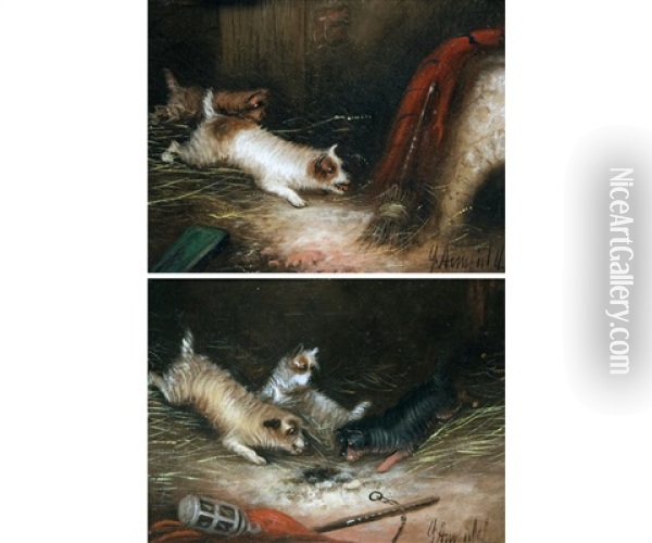 George Armfield Terriers Ratting (a Pair) Oil Painting - George Armfield