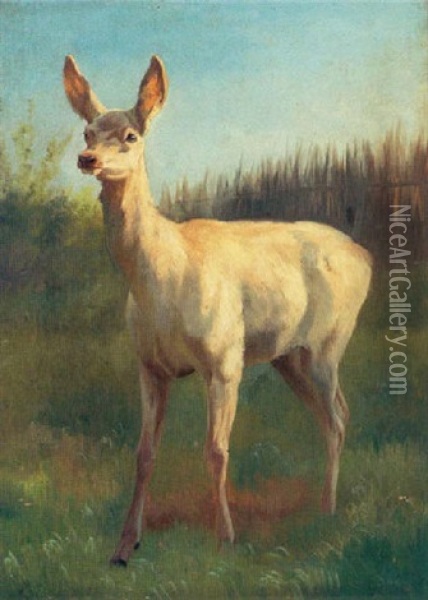 Hvid Hjort I Skovlysning Oil Painting - Adolf Heinrich Mackeprang