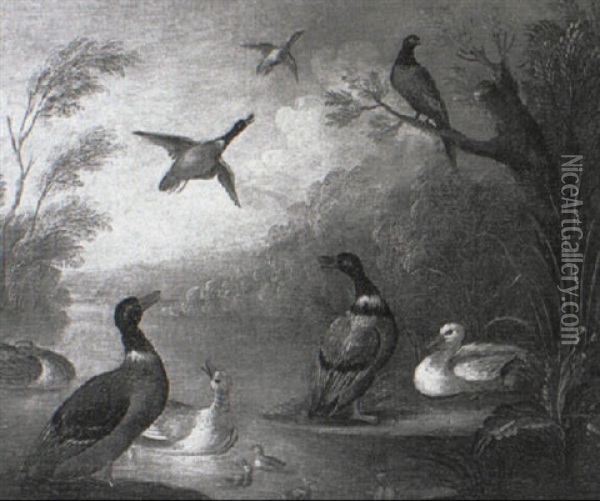 A Mallard Duck And Chicks On A River With Pheasants Flying Overhead Oil Painting - Marmaduke Cradock