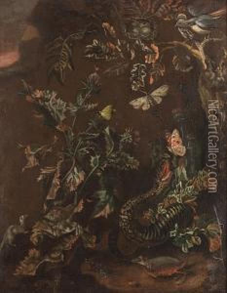 A Snake And Butterflies Amongst Thistles On A Forest Floor Oil Painting - Alida Withoos