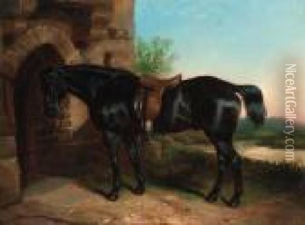 A Dark Brown Hunter Tethered Outside A Stable Oil Painting - George W. Horlor