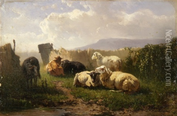 Kuhe Auf Der Weide Vor Einem Seeufer (+ Schafe Vor Dem Gatter; Pair) Oil Painting - Johannes Hubertus Leonardus de Haas