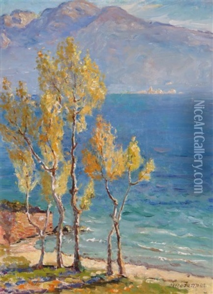 Autumn Lake Garda Oil Painting - Alice Maud Fanner