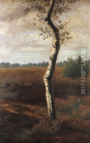 Birke Vor Herbstlich Gef,rbter Moorlandschaft Oil Painting - Fritz Mackensen